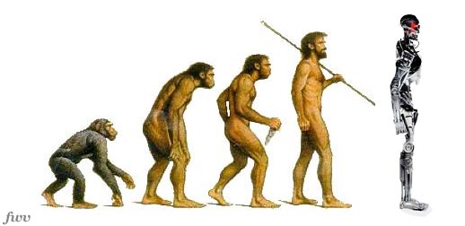 Evolution of the human species
