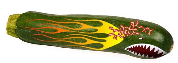 This is Zucchini Five; Im going in!