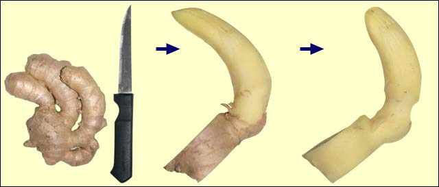 jujustoybox:  The theory and practice of GINGER FIGGING  “Figging” is a name